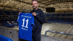 Vedad Ibišević stigao u Schalke, nosiće “11-ku” na dresu