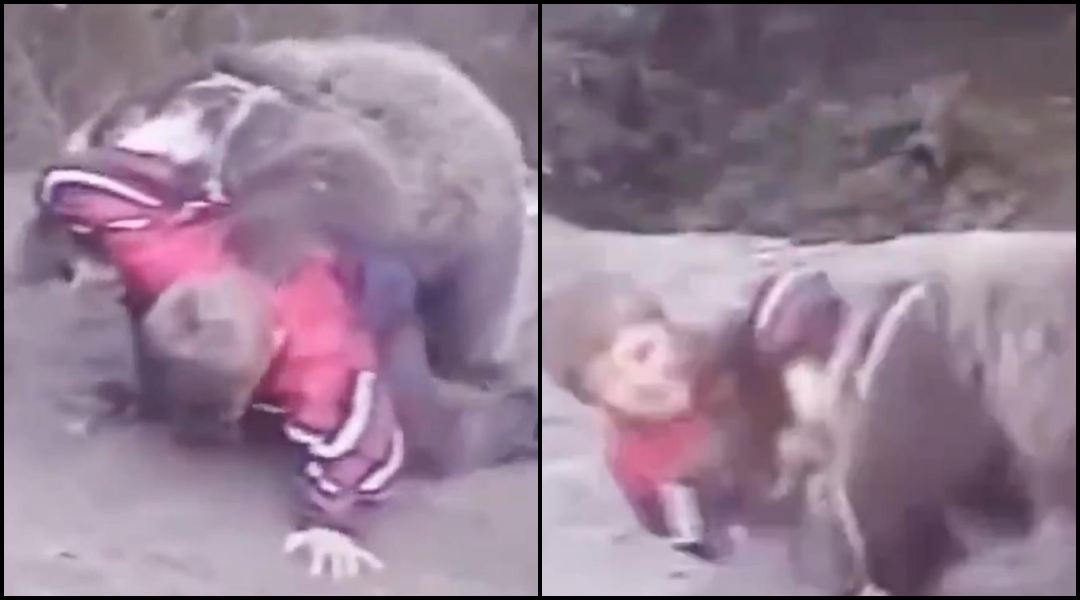 Ovako je sve krenulo prije 23 godine: Legendarni snimak Khabibovog hrvanja s medvjedom ponovo je hit