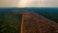 Naučnici upozoravaju: Klimatske promjene izbrisat će Amazonsku prašumu s lica Zemlje do 2064.