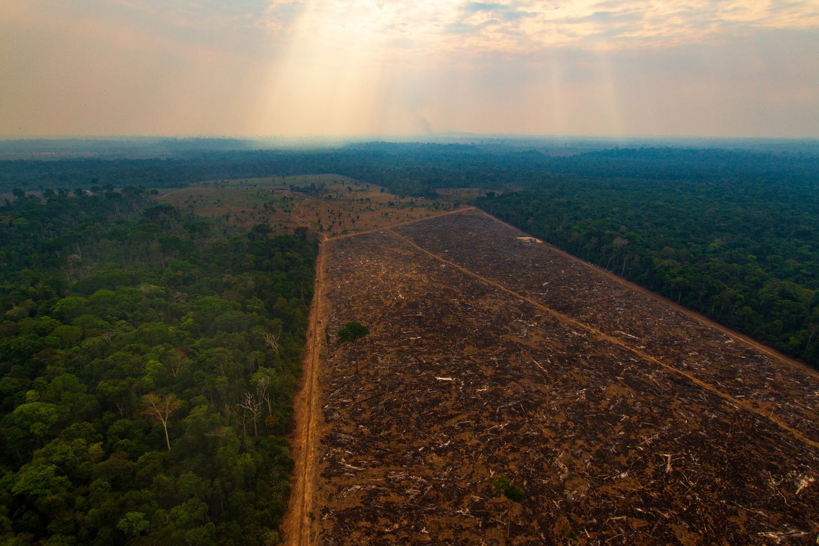 Naučnici upozoravaju: Klimatske promjene izbrisat će Amazonsku prašumu s lica Zemlje do 2064.