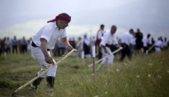 Lijepa vijest: Kupreška kosidba upisana na UNESCO listu nematerijalne kulturne baštine