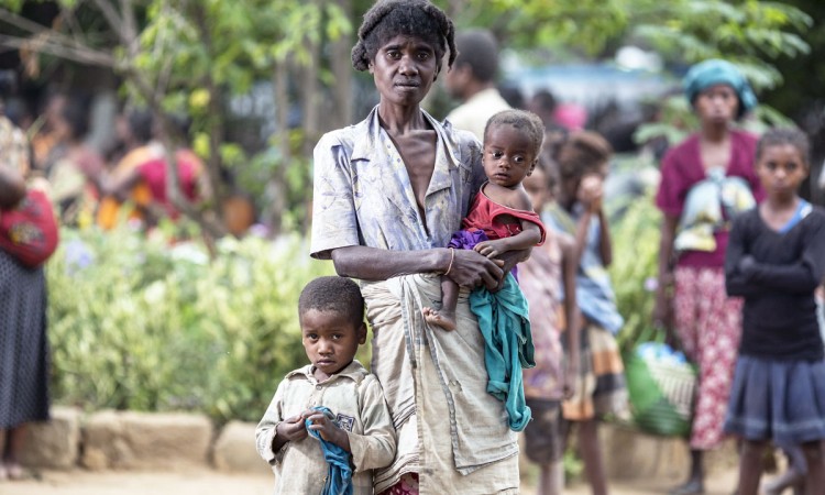 Madagaskar na rubu gladi, stanovnici prisiljeni jesti skakavce i kaktuse