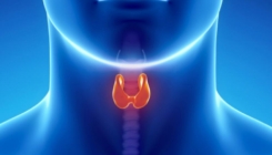 Kad štitna žlijezda ne radi kako treba: Ovo su upozorenja