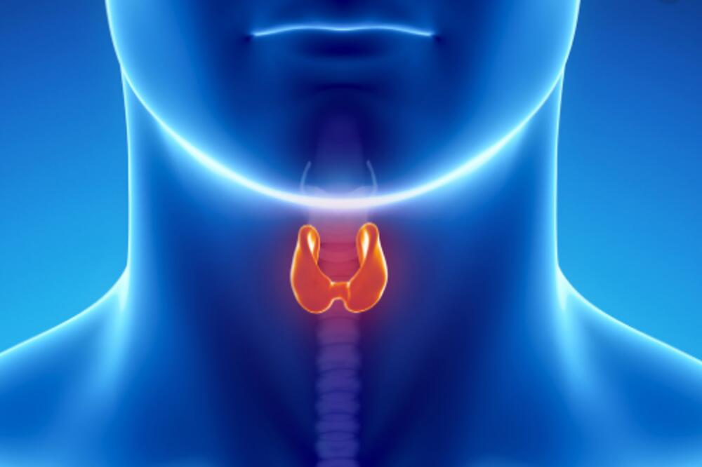Kad štitna žlijezda ne radi kako treba: Ovo su upozorenja