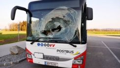 Srndać probio vjetrobransko staklo autobusa na putu u Austriji