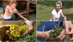 Samohrana majka djecu školuje branjem i prodajom ljekovitog bilja