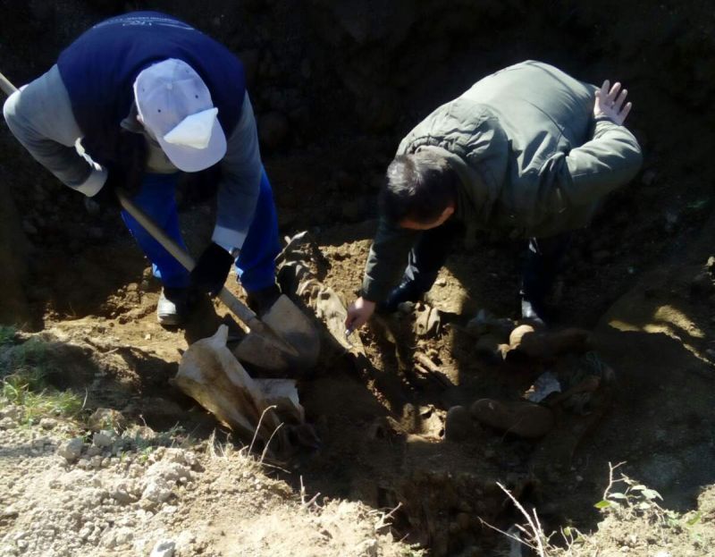 Pronađeni posmrtni ostaci pet osoba u masovnoj grobnici na istoku BiH