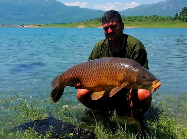 Impozantan ulov: Upecao šarana od 17,5 kilograma na Ramskom jezeru