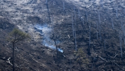 Požar u Jablanici gasi helikopter OSBiH