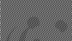 Test inteligencije: Možete li pronaći šta krije ova optička iluzija?