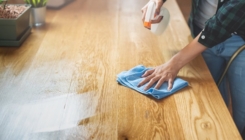 Trikovi za kuću čistu i do 10 dana: Obrišite prašinu metodom koja se koristi u muzejima