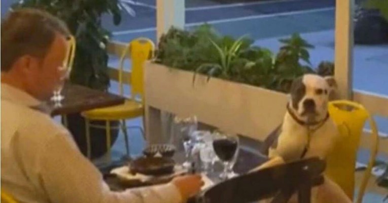 Vlasnik izveo psa na večeru u restoran, a njihov video postao viralan