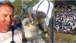 Mladić iz Travnika napustio bauštelu u Njemačkoj zbog čuvanja ovaca: "Na svom je najljepše, zato sam se vratio"
