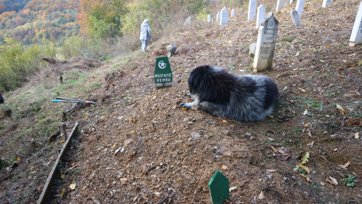 Dirljiv prizor iz Srebrenice: Napušta dvorište kako bi posjetio mezar svoje vlasnice