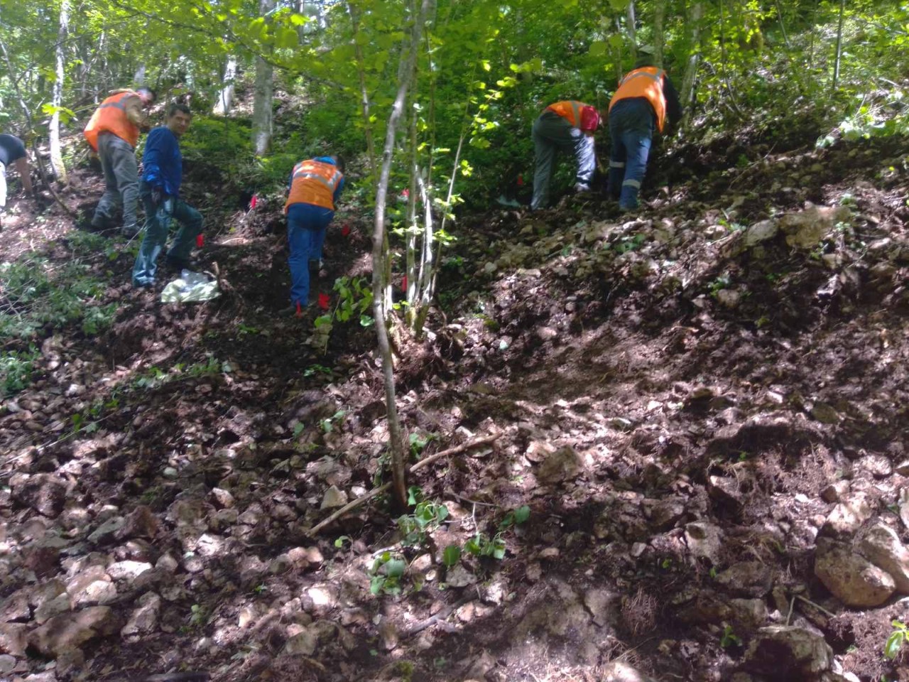 Pronađeni posmrtni ostaci još deset žrtava genocida u Srebrenici