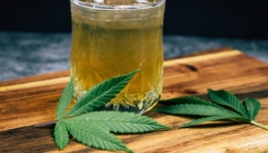 Naučnici otkrivaju: Šta je štetnije - marihuana ili alkohol?