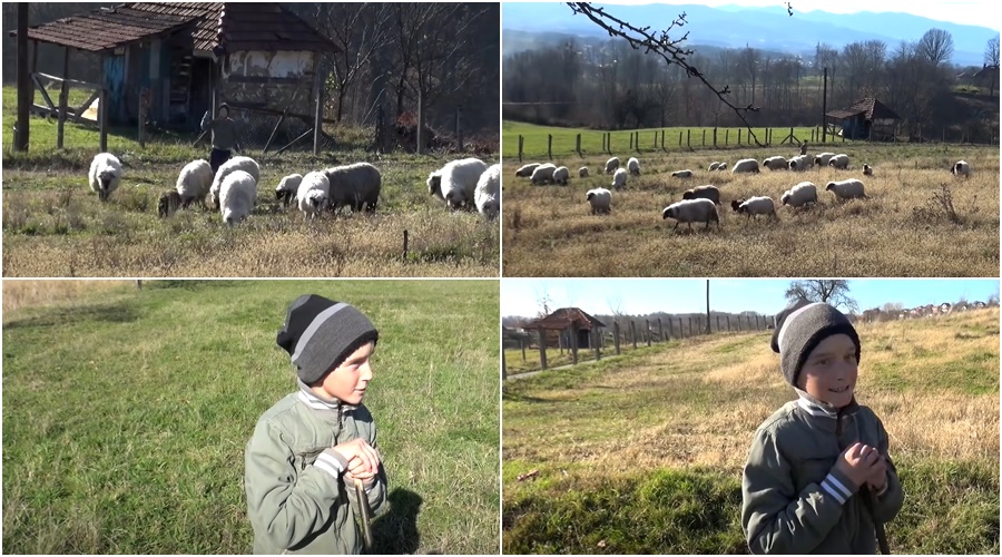 Priča o Adnanu iz Tojšića oduševila regiju: "Djed mi jednom dao 100 maraka i ja sebi kupim janje"