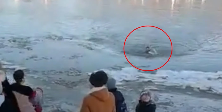 Mladić iz Srbije skočio u zaleđenu rijeku kako bi spasio svog psa
