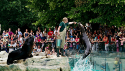 Tiergarten Schönbrunn ponovo najbolji zoološki vrt u Evropi