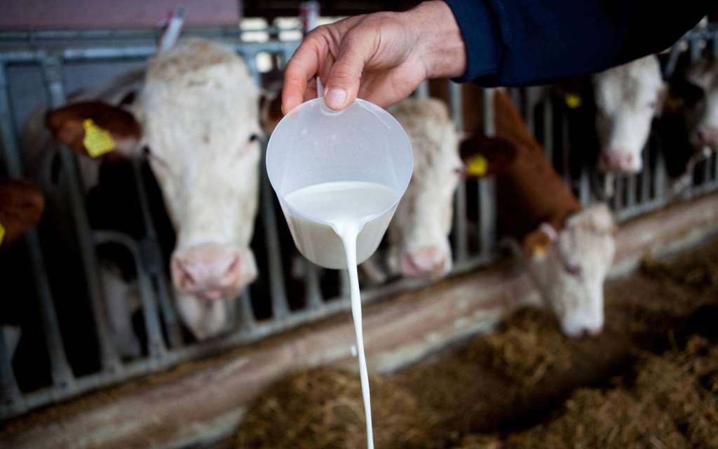 U potpunosti se provodi odluka Vlade Srbije, u BiH ne ulazi mlijeko iz te države