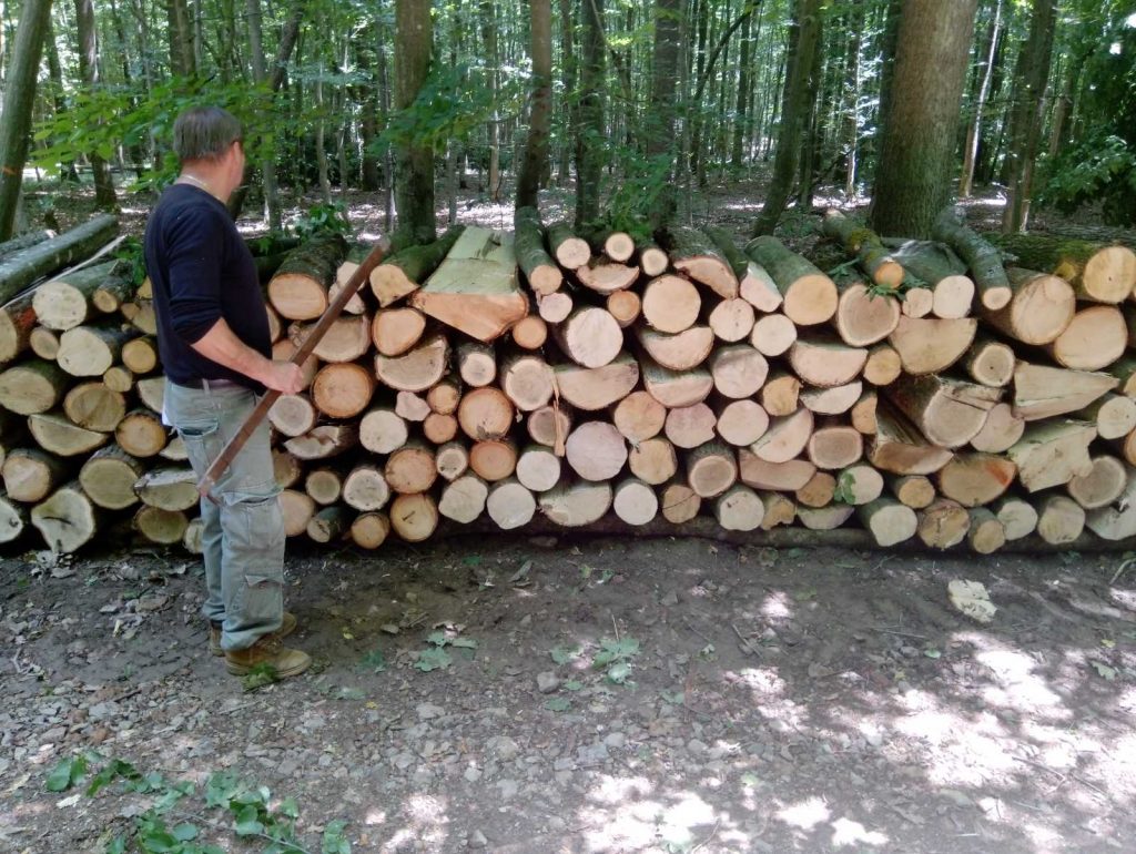 Osigurati funkcionalno tržište ogrjevnog drveta i peleta u FBiH