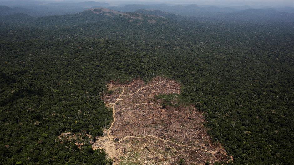 Sječa šuma u Amazonu dostigla rekord, u prvih pola godine uništeno područje pet puta veće od New Yorka