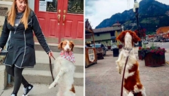 Upoznajte Dextera - psa koji je naučio hodati kao čovjek nakon što je imao tešku nesreću