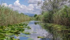 Svjetski fond za prirodu izdao upozorenje: Hutovo blato bi moglo nestati zbog hidroelektrana u RS