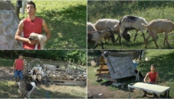 Kristijan je najmlađi farmer u selu kod Zenice: San mu nije Njemačka, već kosilica