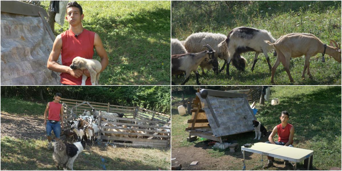 Kristijan je najmlađi farmer u selu kod Zenice: San mu nije Njemačka, već kosilica