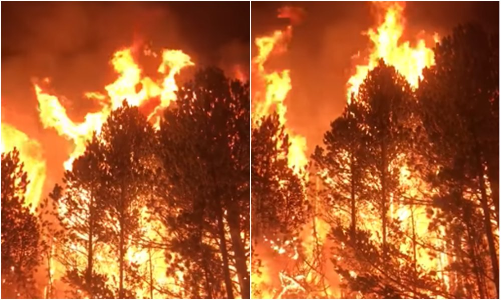 Vjetar ponovo aktivirao požar u NP Sutjeska, na Blidinju teška situacija