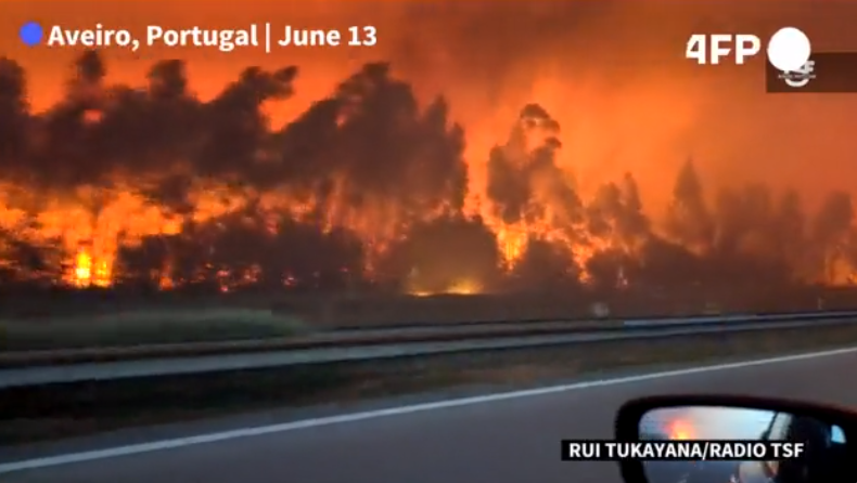 Šokantni video snimak požara u Portugalu, u Španiji umrlo najmanje 350 ljudi