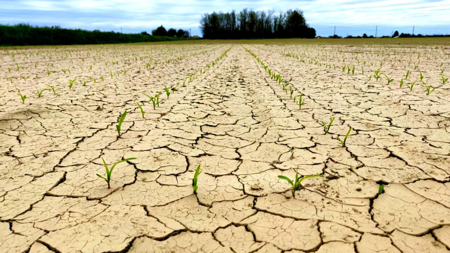 Meteorolozi upozoravaju na sušu: Značajnijih padavina nema, stižu nam nove vrućine