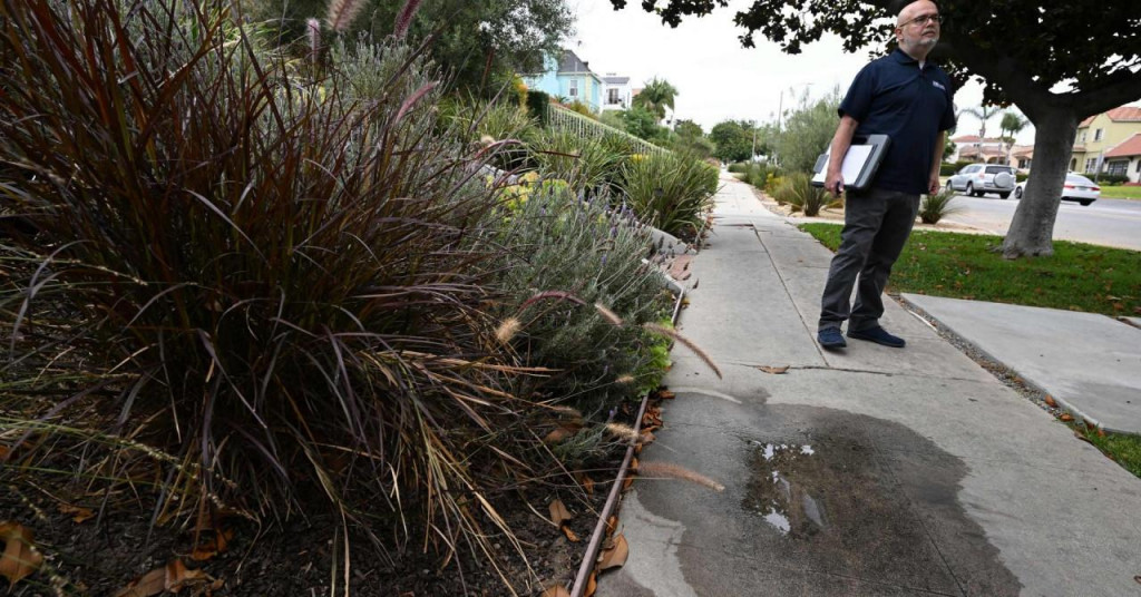 U Los Angelesu na snazi redukcija vode: "Vodeni policajci" reaguju na svaku lokvu, kazne su rigorozne