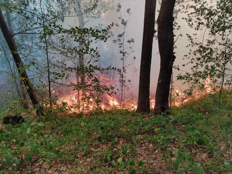 Vatrogasci i Helikopterski servis RS-a gase požar na Vrbanjskim brdima