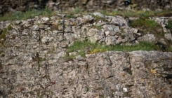 Vrlo teška zagonetka: Možete li pronaći sovu na ovoj fotografiji?