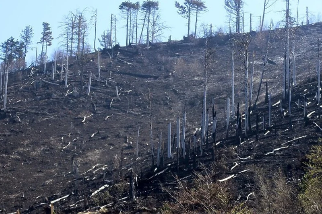 Kiša pogasila požare u Hercegovini