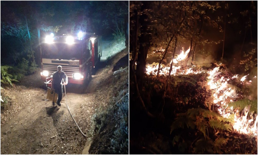 Tuzlanski vatrogasci cijelu noć gasili požar na Ilinčici