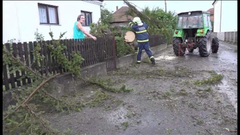 Nevrijeme zahvatilo Kozarsku Dubicu, vjetar obarao stabla i oštetio krovove