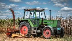 Oteo traktor da naplati štetu jer su mu komšijne koze pojele kukuruz