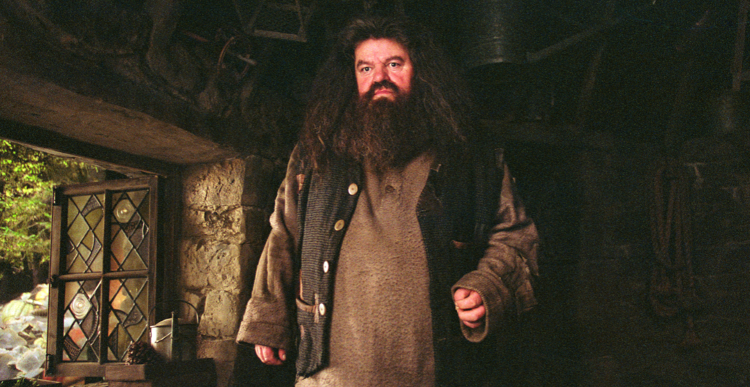 Preminuo Robbie Coltrane, omiljeni glumac iz filmova o Harryju Potteru