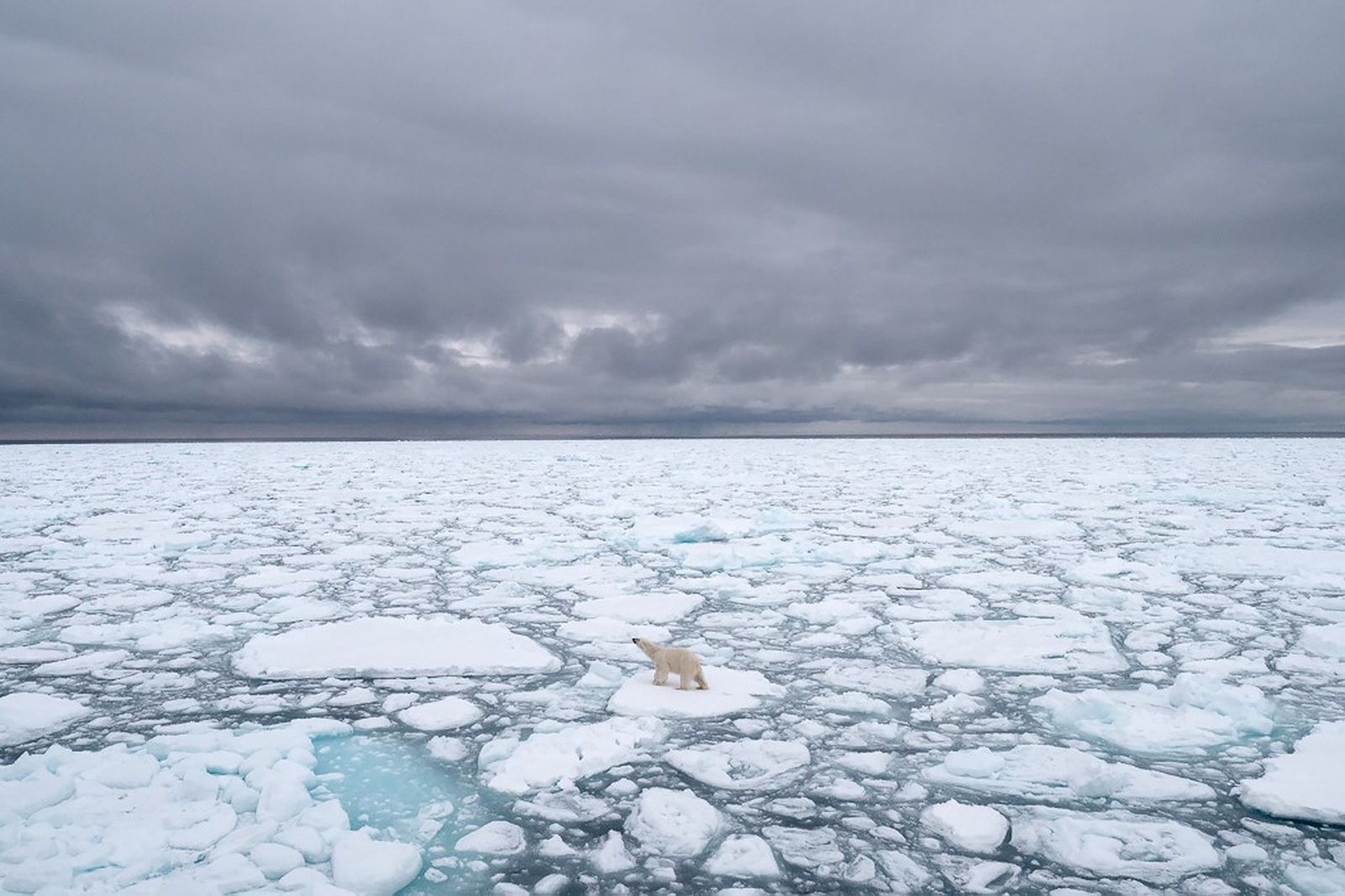 Arktik bi uskoro mogao osloboditi novu pandemiju, naučnici objašnjavaju i zašto