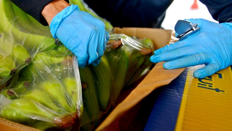 Hrvatska: U paketima banana u skladištu pronađeno 30 kila kokaina