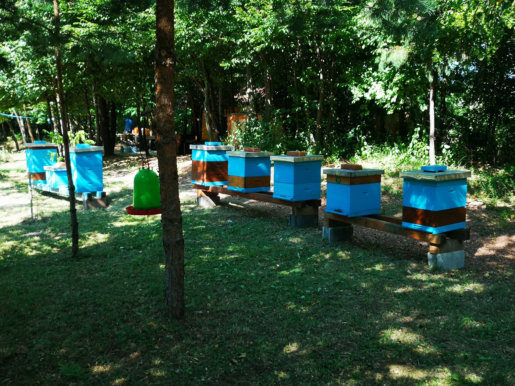 Tuzla: Na izletištu Ilinčica besplatna degustacija svih vrsta meda za građane