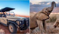 Najskuplji safari na svijetu: Od "hotela u vazduhu" do noćenja u luksuznim kolibama u pustinji