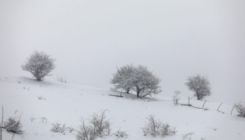 Oblačno vrijeme sa kišom u BiH, na planinama snijeg