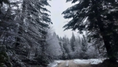 Veju pahulje: Pao prvi snijeg u dijelovima Bosne i Hercegovine