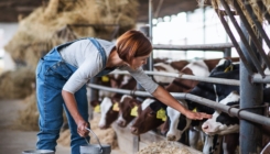 Lactalis BH pruža ruku podrške farmerima u Bosni i Hercegovini