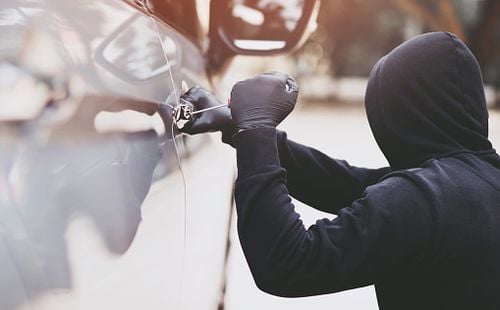 Pripadnik kriminalne grupe za krađu automobila u potpunosti priznao krivicu