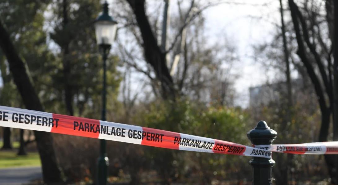 Mladu djevojku u parku u Beču silovala trojica muškaraca u novogodišnjoj noći